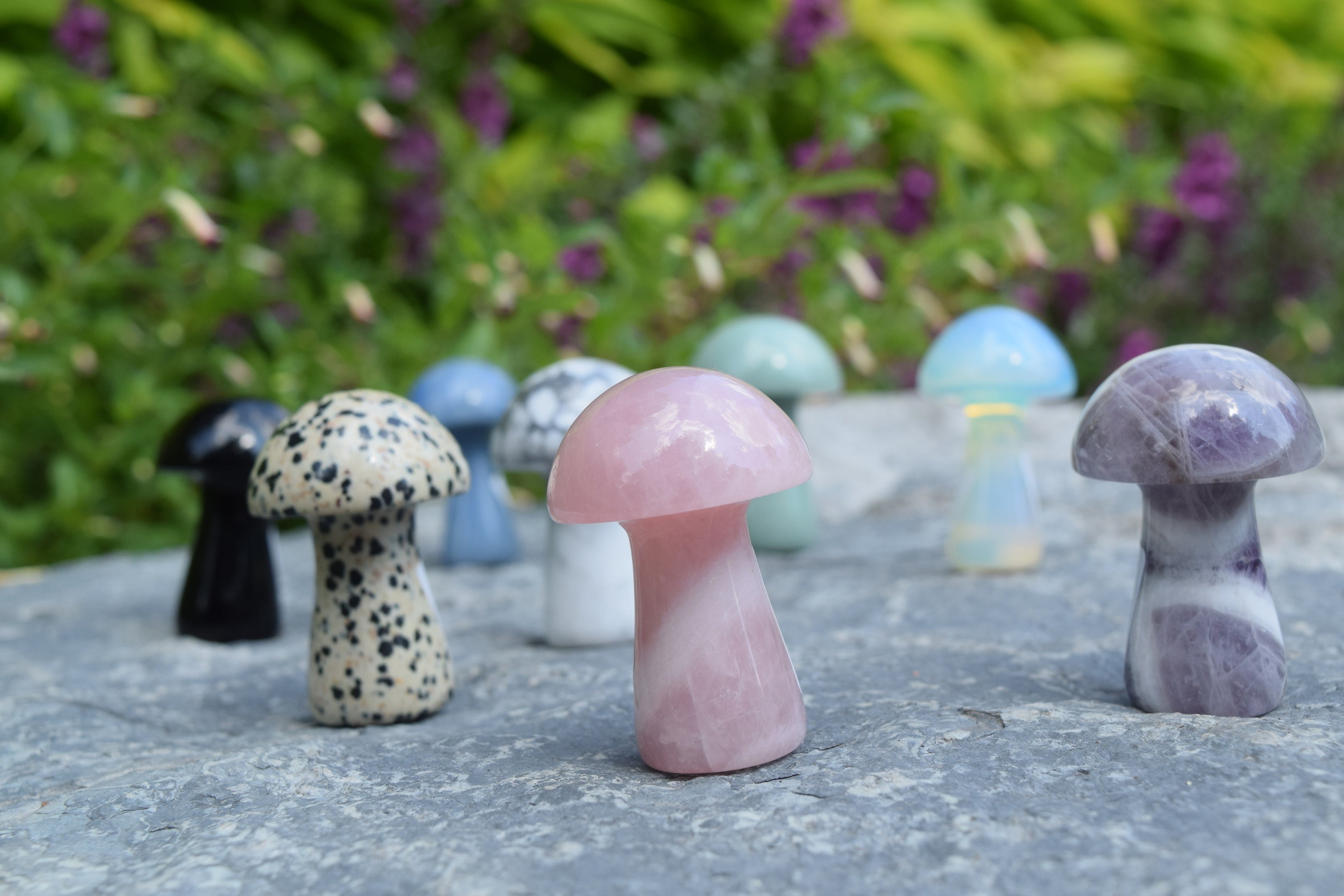 A display of crystal mushroom miniatures, displayed as a mushroom ring