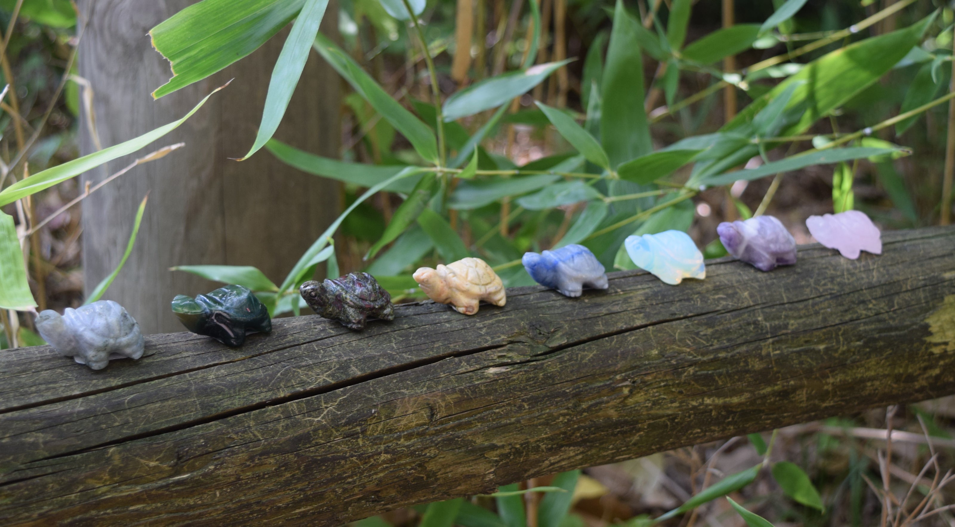 A display of crystal tortoises lined up together on a log 